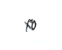 "XO" Lapel Pin | Heroes for Hire Co